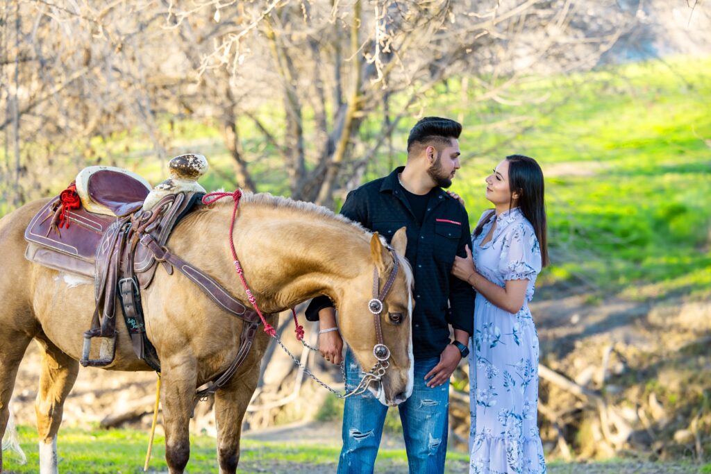 Couple (Love & Arashdeep) looking at each other over the neck of a saddled horse in a golden field.
